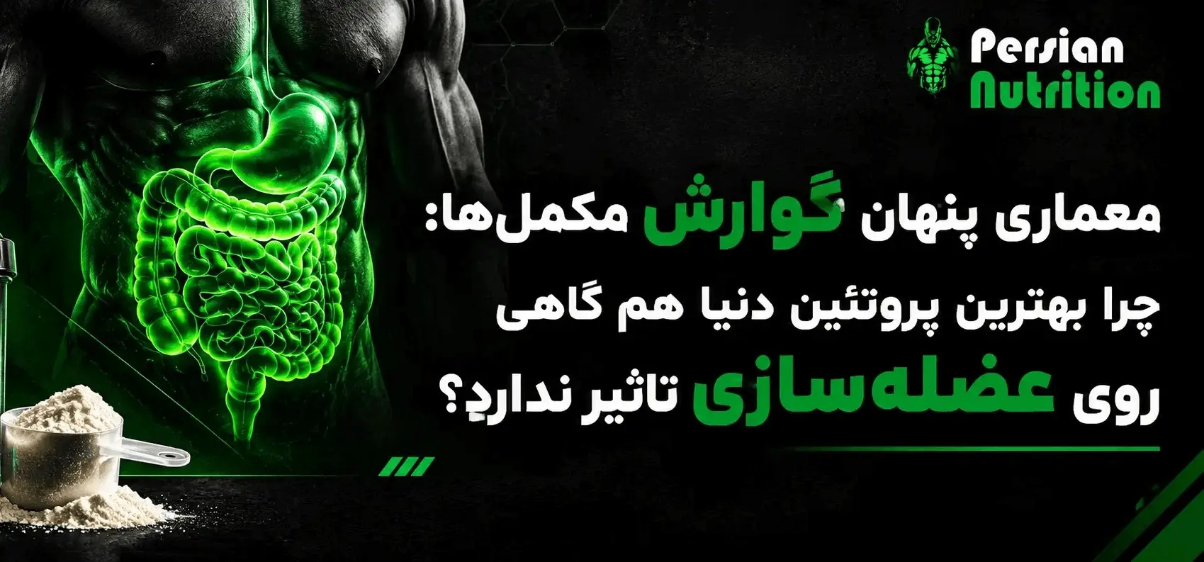 معماری پنهان گوارش مکمل‌ها: چرا بهترین پروتئین دنیا هم گاهی روی عضله‌سازی تاثیر ندارد؟